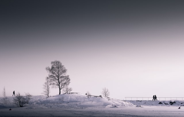A snowy scene with a deciduous tree without leaves in the distance.