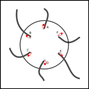 Diagram of the hat with all i-cords spread out from the centre.