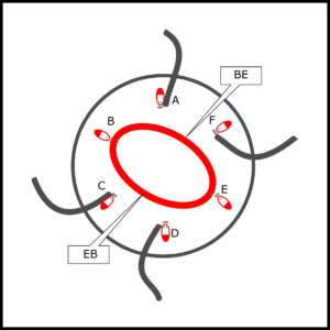Diagram of the hat with two i-cords twisted into shape and the remaining ones spread out from the centre.
