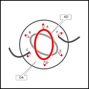 Diagram of the hat with four i-cords twisted into shape and the last two spread out from the centre.