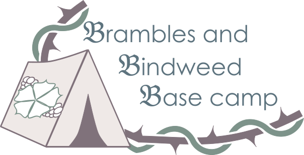 Logo: the words brambles and bindweed base camp are surrounded by twisted stems and a tent with blackberries and flowers on the side